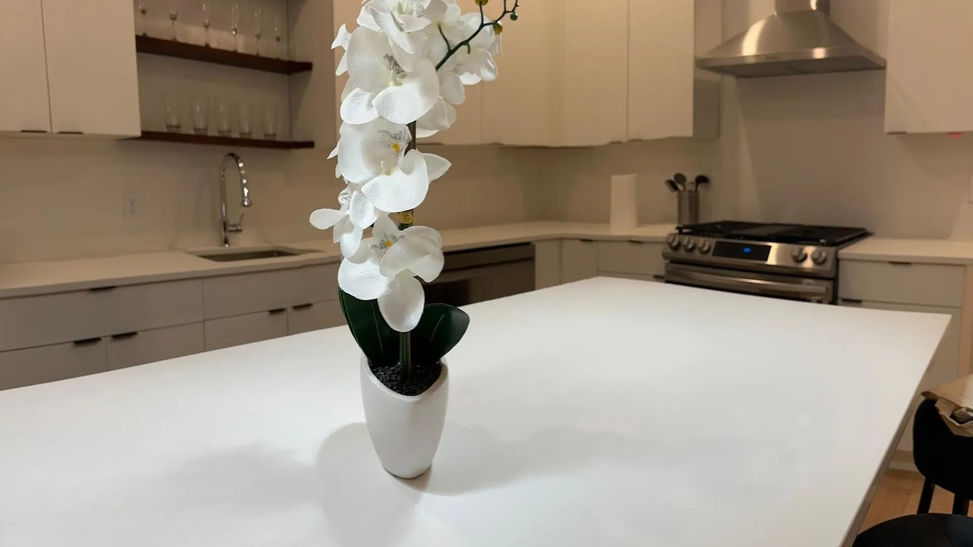 Apartment Modern, New 3 Bed, 2 Bath Apt Near Manhattan Jersey City